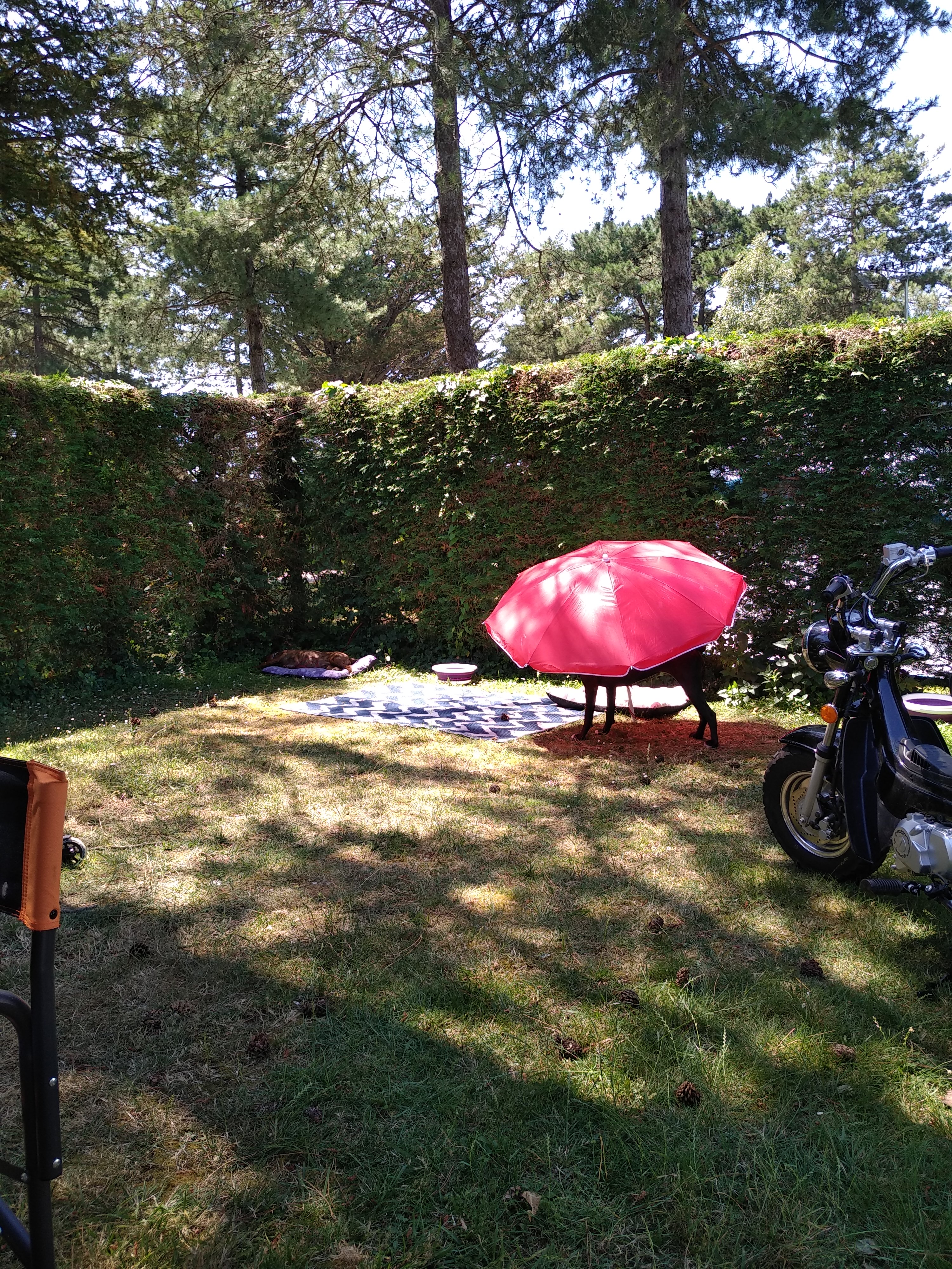 Photo n° 1 de l'avis de Olivier.a fait le 07/07/2019 à 17:06