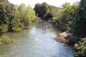 Mansa River image