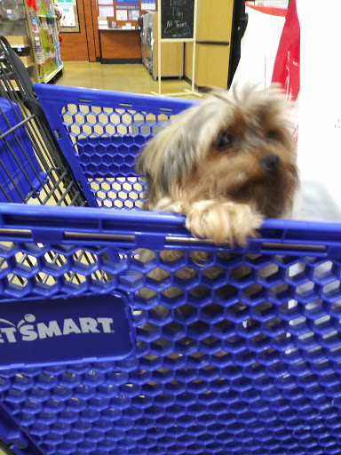 Pet Supply Store «PetSmart», reviews and photos, 2770 FM 365 c, Port Arthur, TX 77640, USA