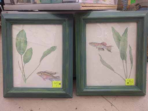 Non-Profit Organization «Society of St Vincent de Paul - Kennesaw Thrift Store», reviews and photos, 2722 Summers St, Kennesaw, GA 30144, USA