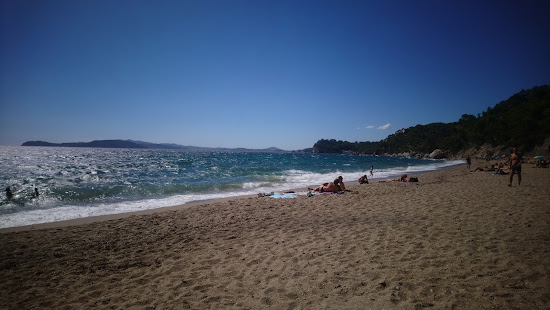 Plage du Monaco