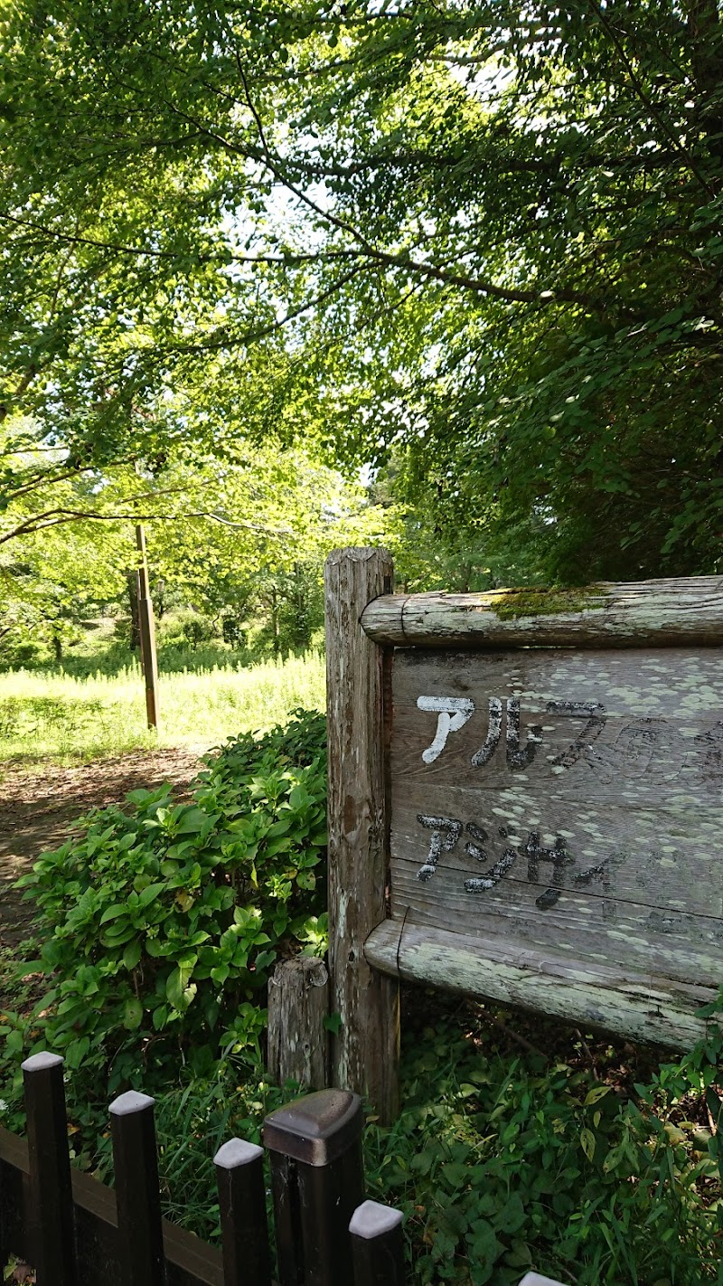 アルスの森 アジサイ公園