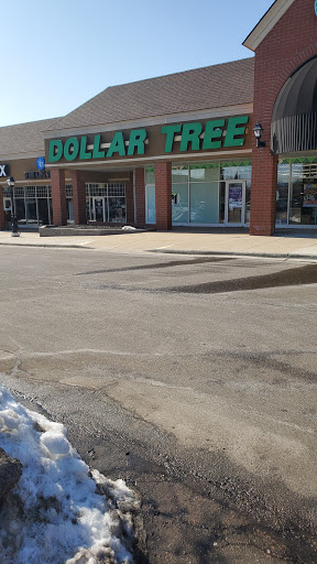 Dollar Store «Dollar Tree», reviews and photos, 6521 Sashabaw Rd, Village of Clarkston, MI 48346, USA