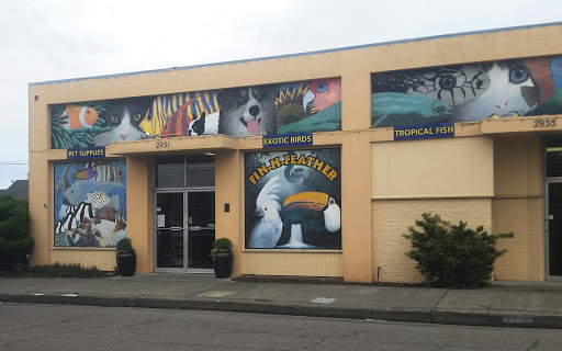 Pet Store «Fin-N-Feather», reviews and photos, 2931 F St, Eureka, CA 95501, USA
