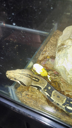 Harley-Davidson Dealer «Buddy Stubbs Anthem Harley-Davidson», reviews and photos, 41715 N 41st Dr, Anthem, AZ 85086, USA