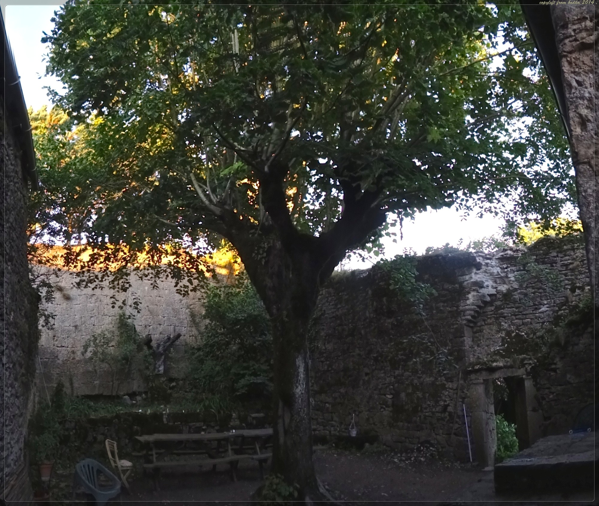 Photo n° 7 de l'avis de bodha.a fait le 30/10/2018 à 19:39