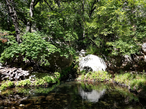 National Park «Guadalupe Mountains National Park», reviews and photos