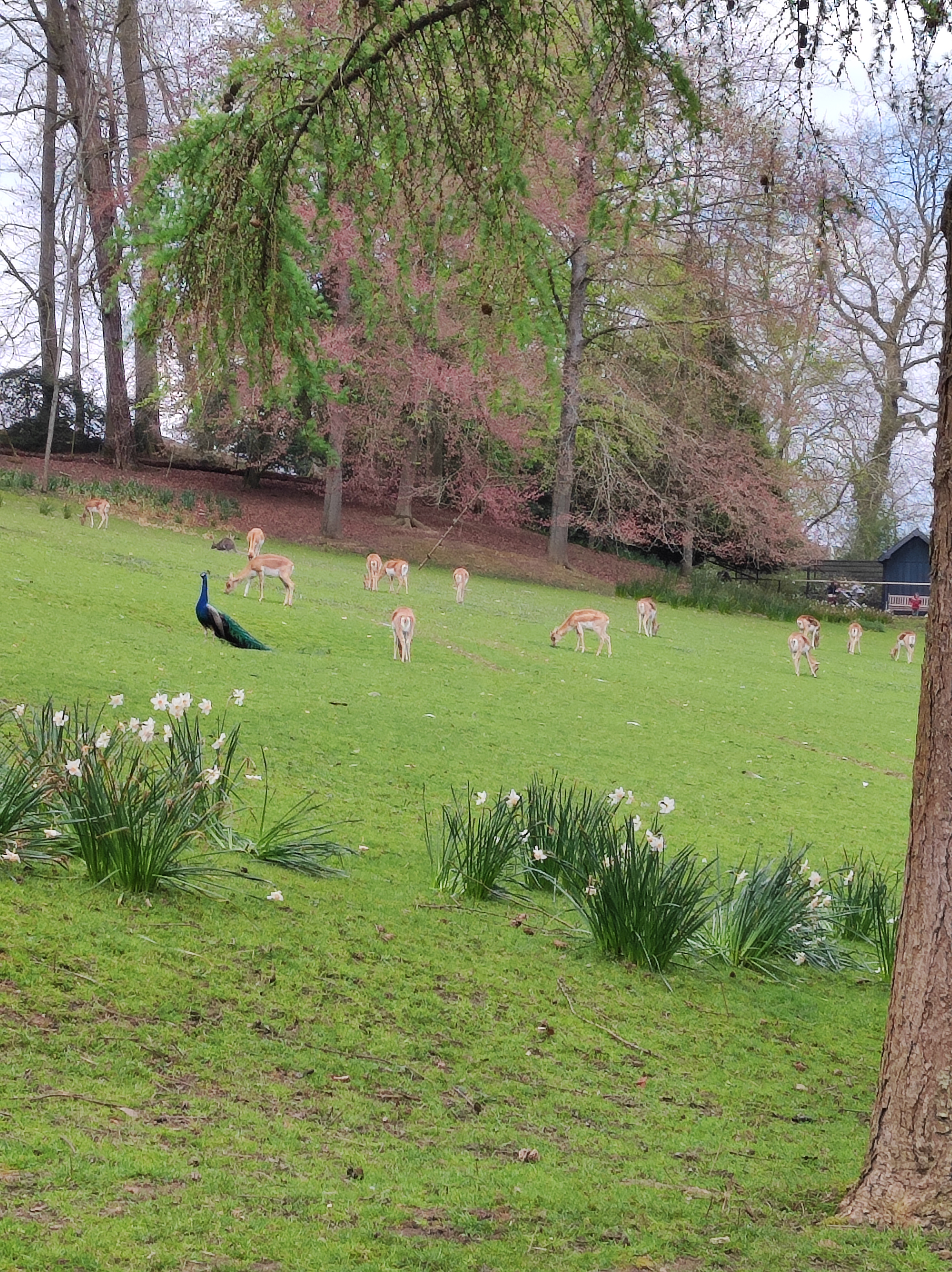 Photo n° 10 de l'avis de Yvonne.a fait le 23/04/2023 à 13:30