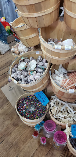 Bicycle Rental Service «Shore and More General Store», reviews and photos, 100 5th Ave, Seaside Park, NJ 08752, USA