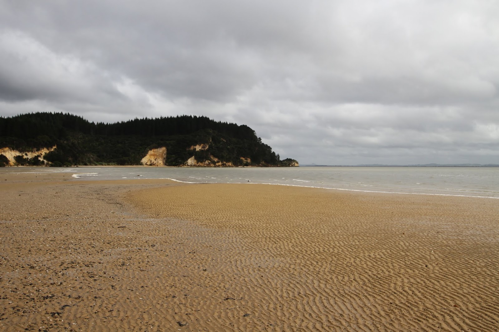 Kellys Bay'in fotoğrafı çok temiz temizlik seviyesi ile