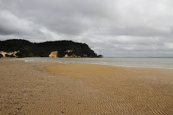 Kellys Bay'in fotoğrafı çok temiz temizlik seviyesi ile