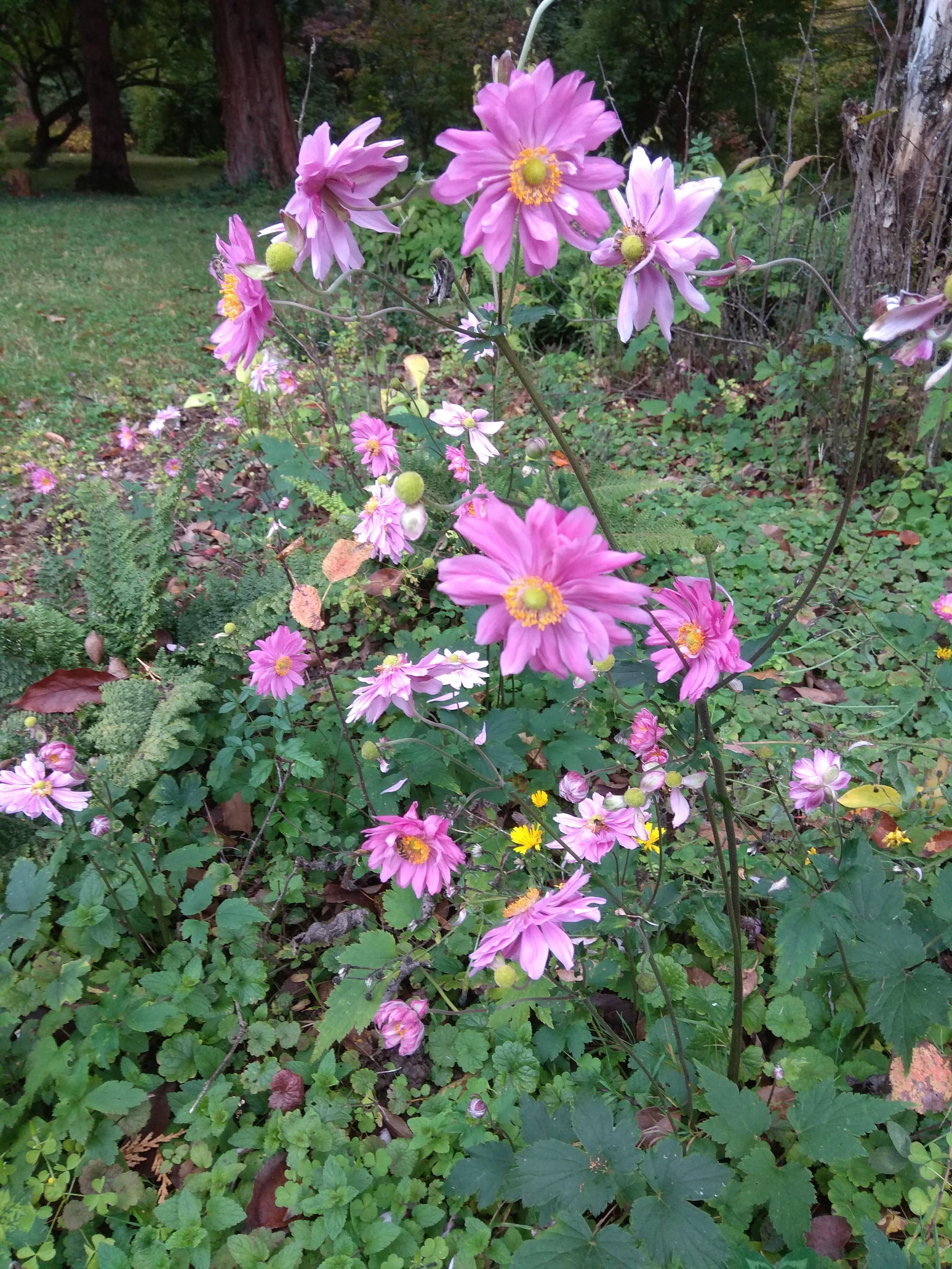 Photo n° 1 de l'avis de marietherese.a fait le 08/10/2020 à 18:57