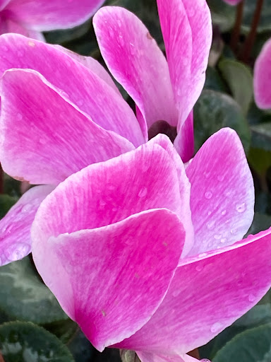 Home Improvement Store «The Home Depot», reviews and photos, 2455 E Imperial Hwy, Brea, CA 92821, USA