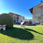 Photo n°4 de l'avis de CamperOnTube. fait le 05/11/2021 à 18:18 sur le  Cascina Dell'Allaas à Bollengo