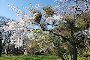 Nishikimachi Park image