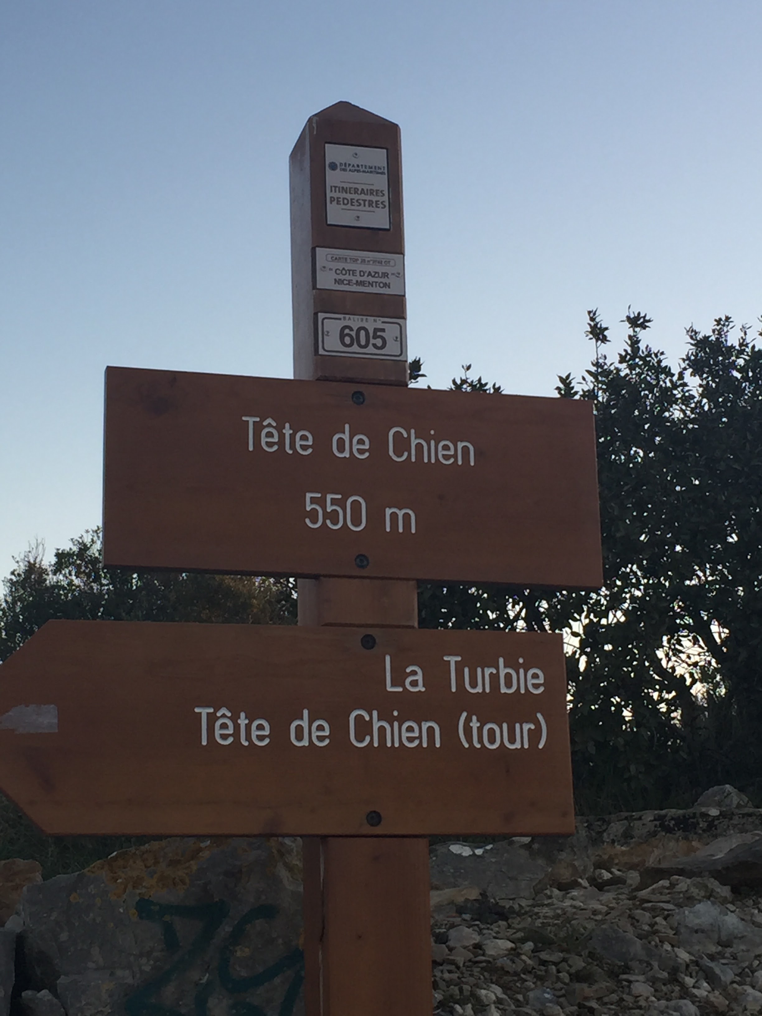Photo n° 2 de l'avis de lacoste.a fait le 31/03/2021 à 02:14