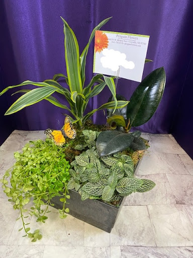 Florist «Penguin Flowers», reviews and photos, 2465 NW Monroe Ave, Corvallis, OR 97330, USA