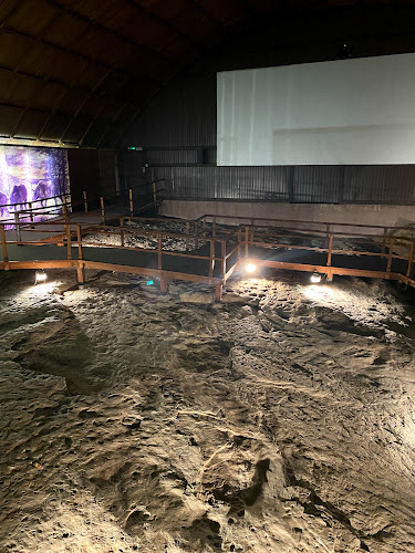 Értékelések erről a helyről: Tasnádi Kubacska csarnok, Ipolytarnóc - Múzeum