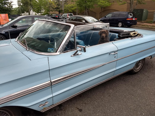 Hardware Store «Cherrydale Hardware Inc», reviews and photos, 3805 Lee Hwy, Arlington, VA 22207, USA