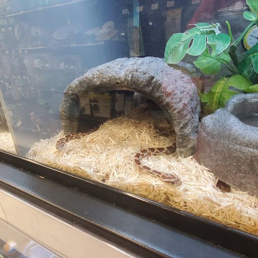 Pet Supply Store «Petco Animal Supplies», reviews and photos, 6425 Keizer Station Blvd, Keizer, OR 97303, USA