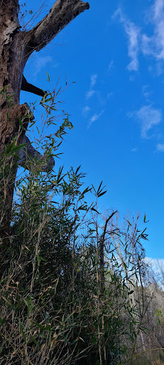 Nature Preserve «Melvin L. Newman Wetlands Center», reviews and photos, 2755 Freeman Rd, Hampton, GA 30228, USA