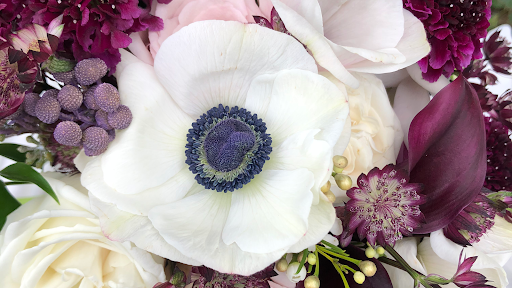 Zenplicity Florist, 230 N Maple Ave, Marlton, NJ 08053, USA, 