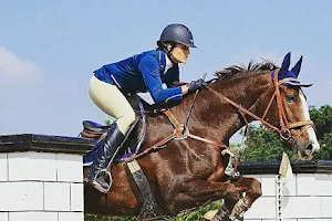 JM Equestrian image