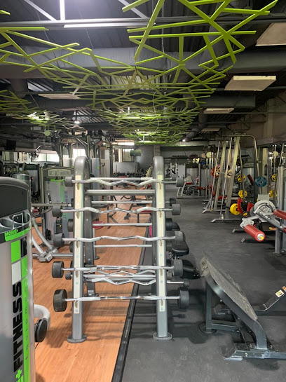 More Fitness GYM Coapa - Av. La Garita 203, Coapa, Villa Coapa, Tlalpan, 14390 Ciudad de México, CDMX