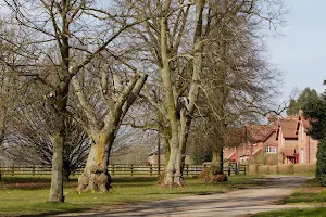 Luton Hoo Estate image