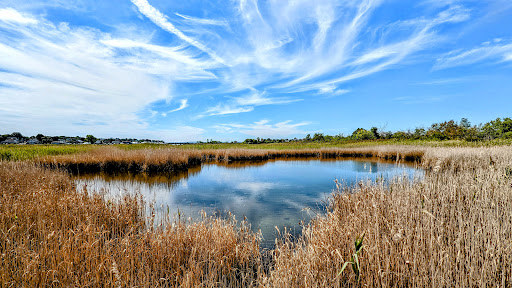 State Park «Belle Isle Marsh Reservation», reviews and photos, Bennington St, East Boston, MA 02128, USA