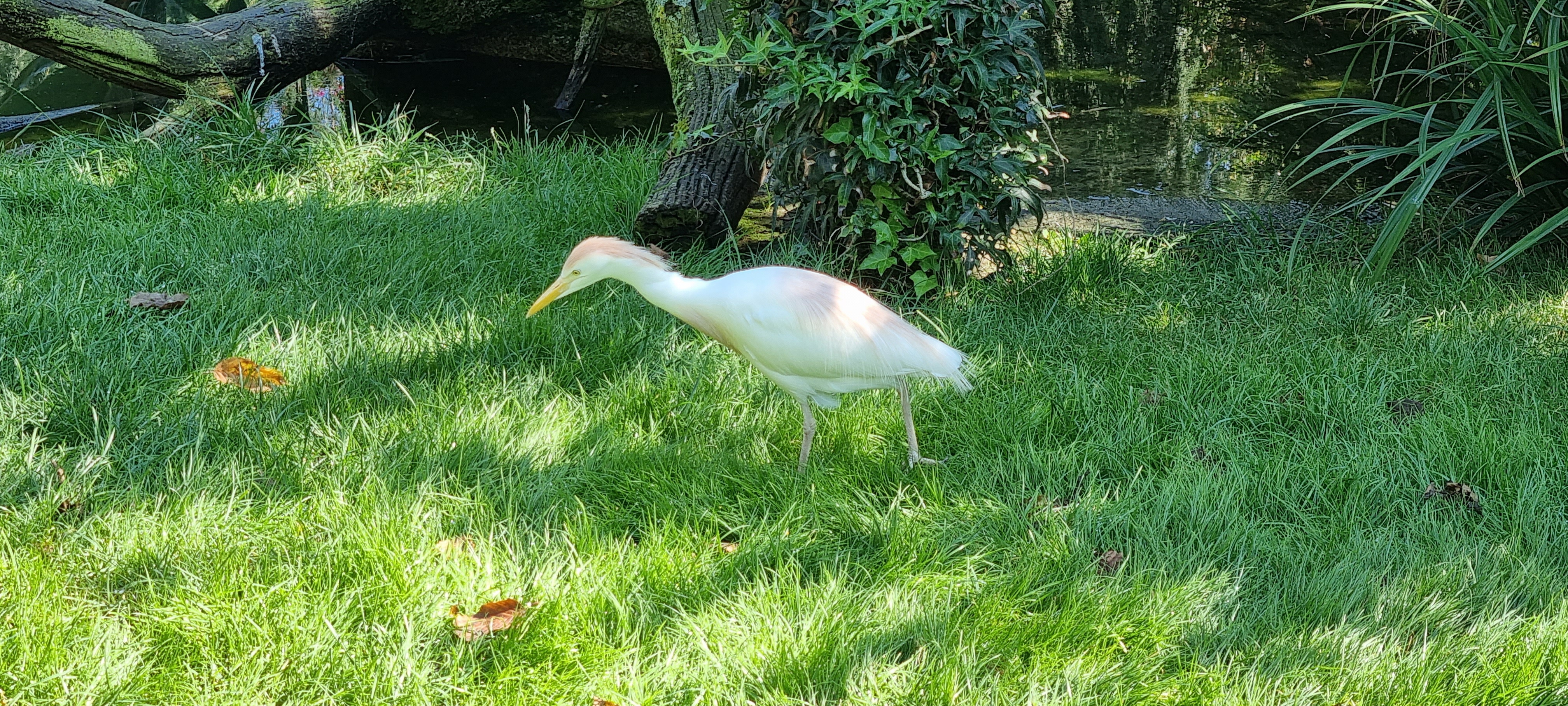 Photo n° 8 de l'avis de Steve.A fait le 27/08/2021 à 11:27