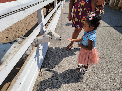Zoo «Washington Park Zoo», reviews and photos, 115 Lake Shore Dr, Michigan City, IN 46360, USA
