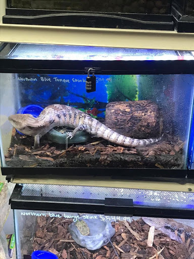 Pet Store «Animal Ark Pet Stores», reviews and photos, 33 Center St, Orem, UT 84057, USA