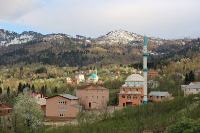 Simenli İlkokulu ve Ortaokulu