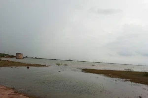 Shiv Temple Dholi dhaja Dam image