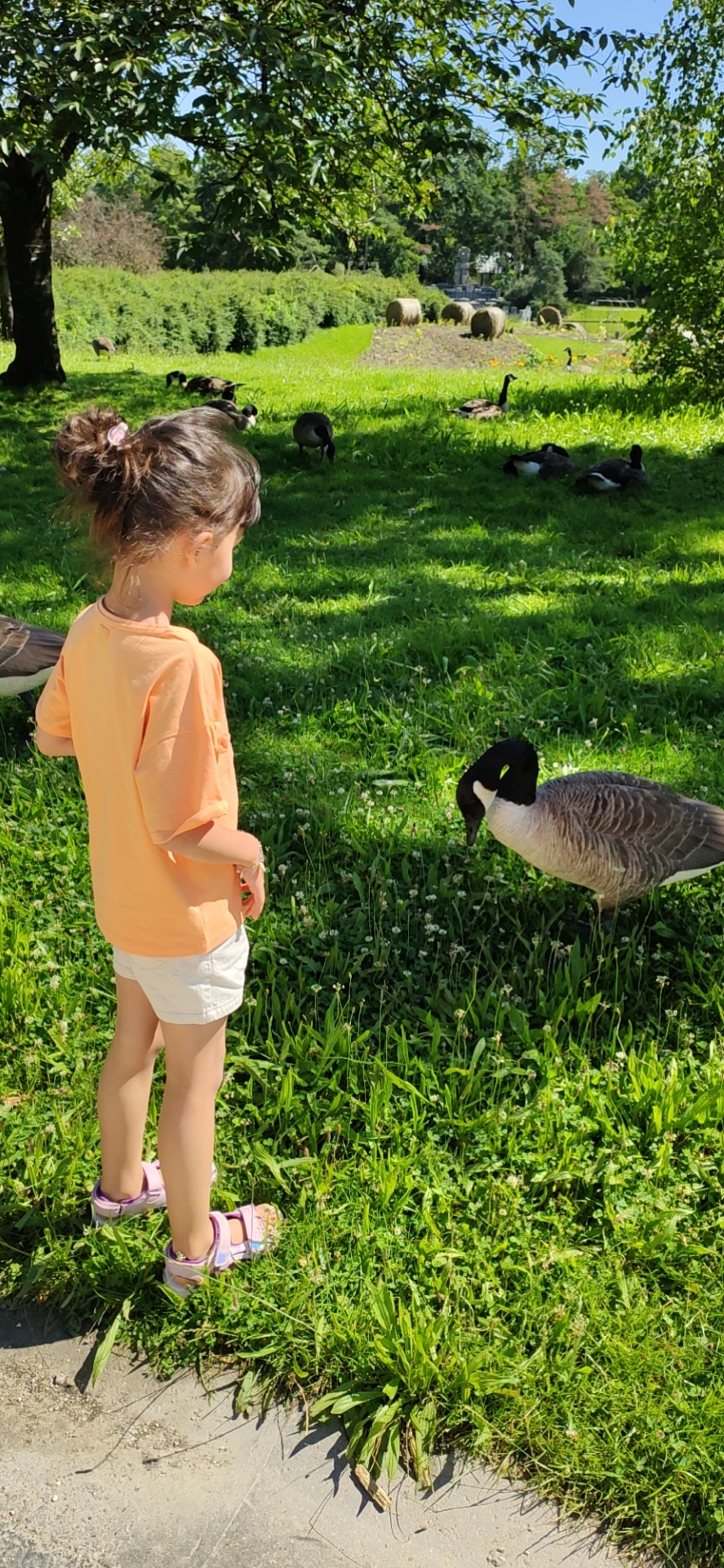 Photo n° 3 de l'avis de Benoit.a fait le 01/08/2021 à 13:45