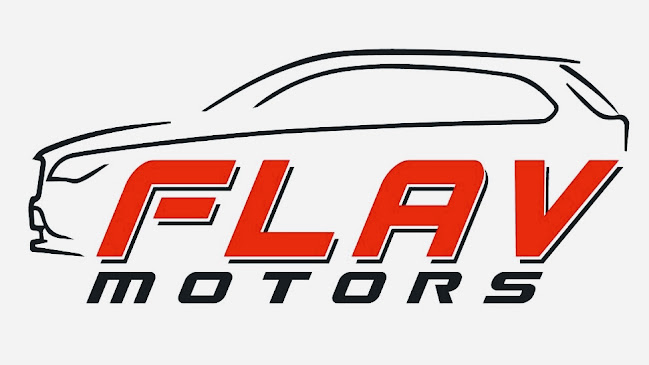 Flav Motors SRL - <nil>