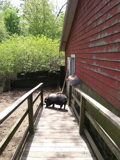 Park «Endicott Park (Town of Danvers)», reviews and photos, 57 Forest St, Danvers, MA 01923, USA