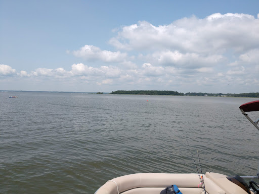 Parasailing Ride Service «FLY DEWEY - Dewey Beach Parasail», reviews and photos, 113 Dickinson St, Dewey Beach, DE 19971, USA