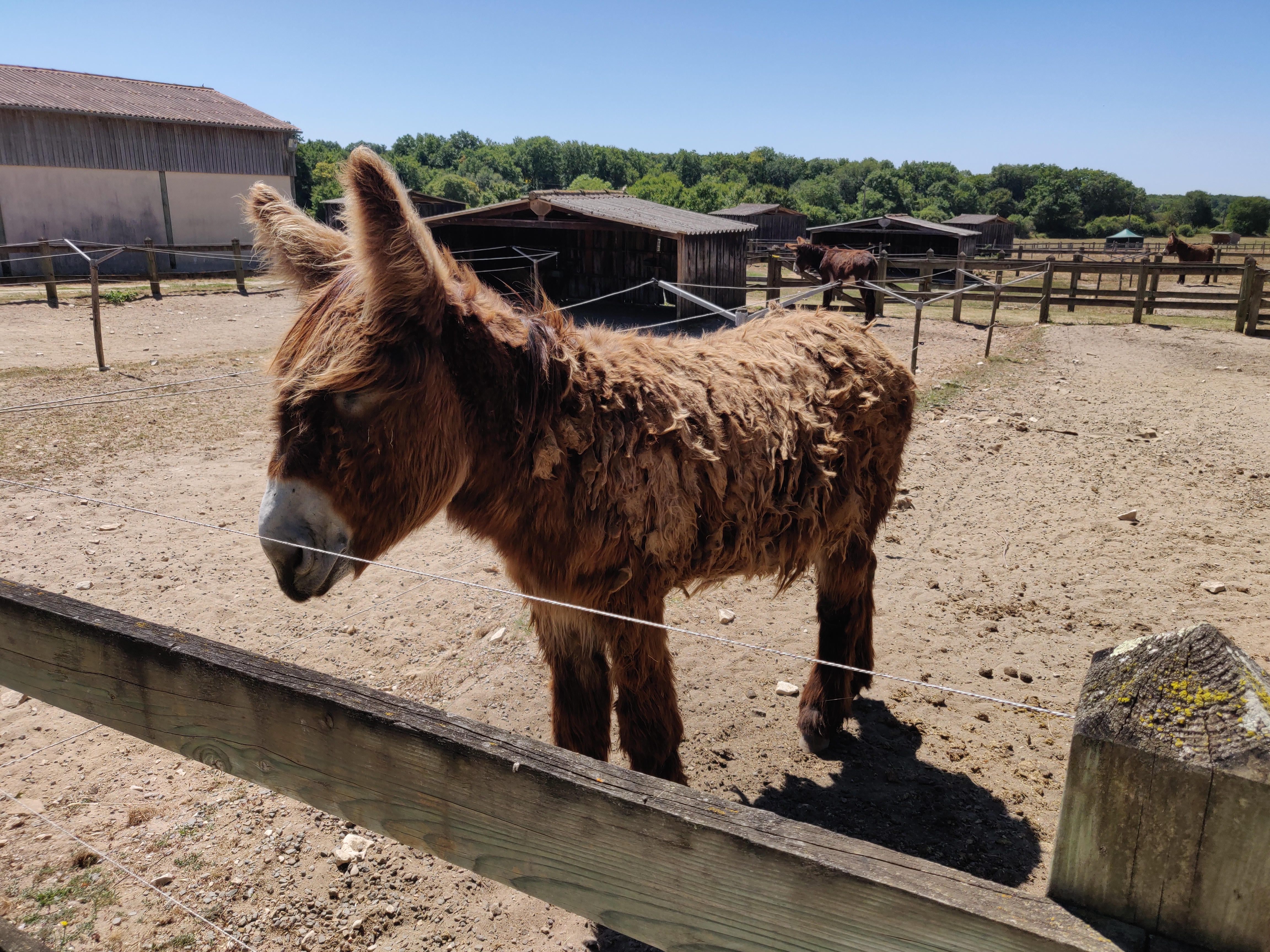 Photo n° 2 de l'avis de Gaëtan.o fait le 04/08/2020 à 12:02