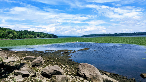 Nature Preserve «Esopus Meadows Preserve», reviews and photos, 257 River Rd, Ulster Park, NY 12487, USA