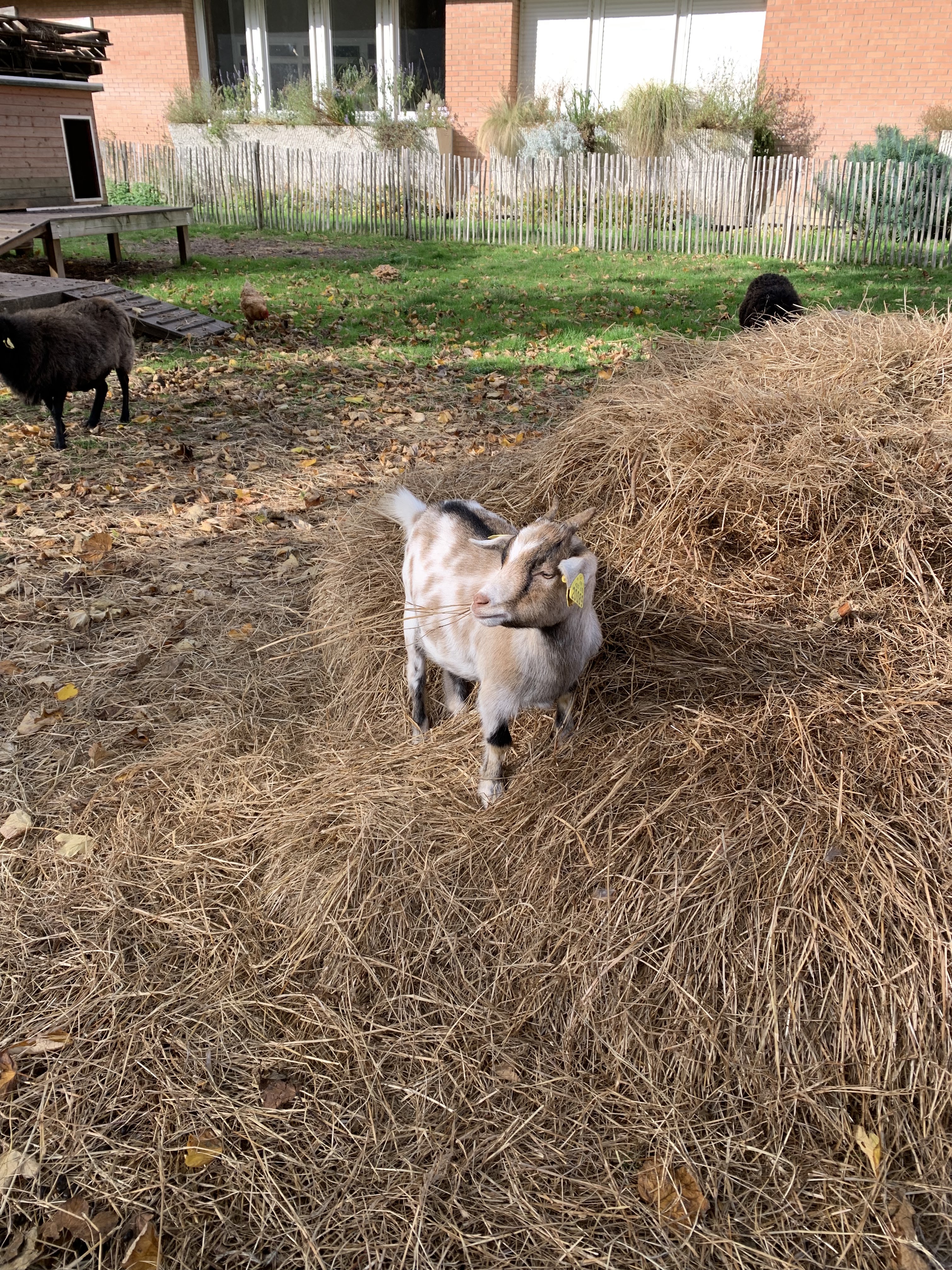 Photo n° 2 de l'avis de Mabille.a fait le 26/10/2022 à 13:33
