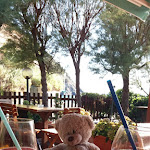 Photo n°5 de l'avis de Petra.i fait le 24/06/2021 à 14:00 sur le  Bar Crock à Marciana