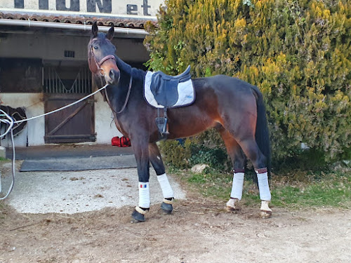 Centre équestre Centre Equestre de la Stèle Saint-Cézaire-sur-Siagne