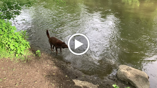 Computer Store «Apple Main Place», reviews and photos, 120 W Jefferson Ave, Naperville, IL 60540, USA