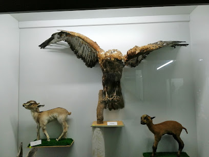 Doğa Bilim Müzesi