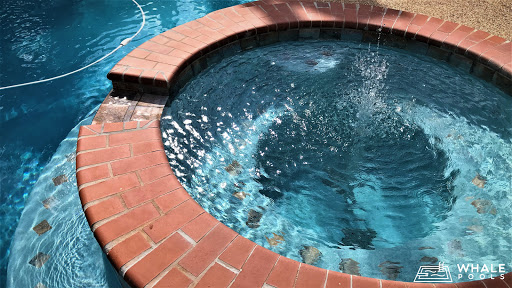 Whale Pools - Swimming Pool Professionals