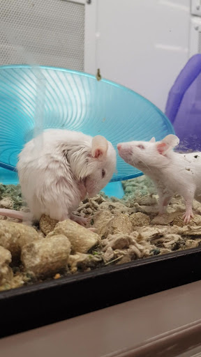 Pet Supply Store «Petco Animal Supplies», reviews and photos, 1621 Emmet St N, Charlottesville, VA 22901, USA