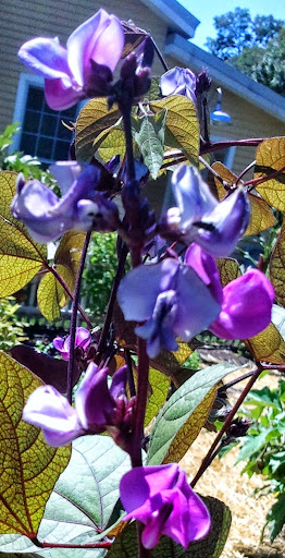 Zoo «Farm In The Zoo», reviews and photos, 1911 N Stockton Dr, Chicago, IL 60614, USA