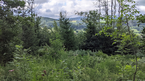 L'arboretum Paul Barge à Ferrières-sur-Sichon